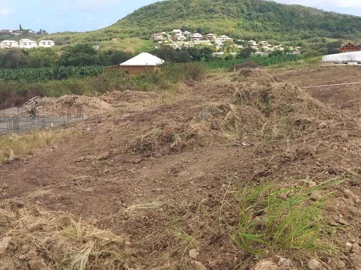 Terrain à vendre Schœlcher
