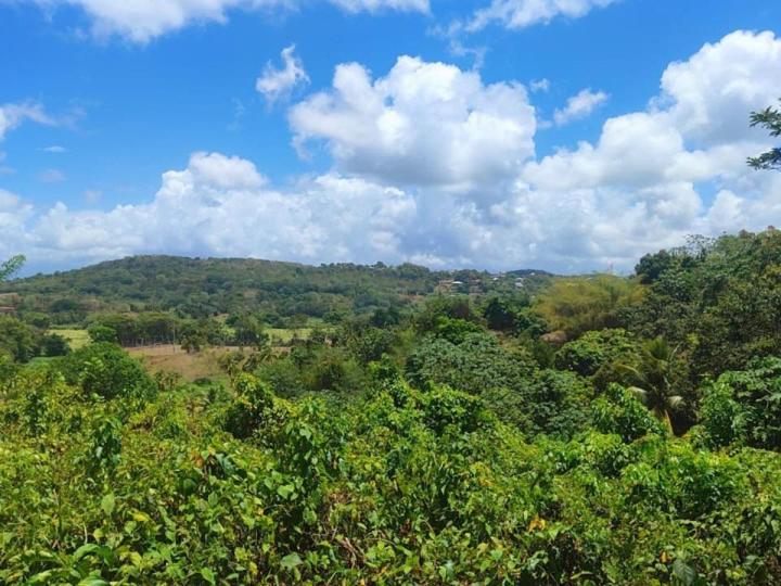 Vente de terrain Schœlcher